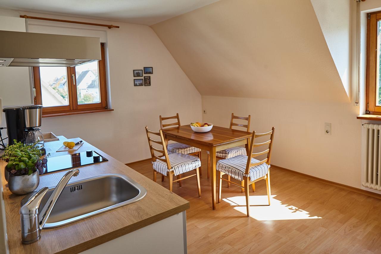 Bodensee Apartment Friedrichshafen Seenah Exterior photo